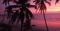Sea Breeze