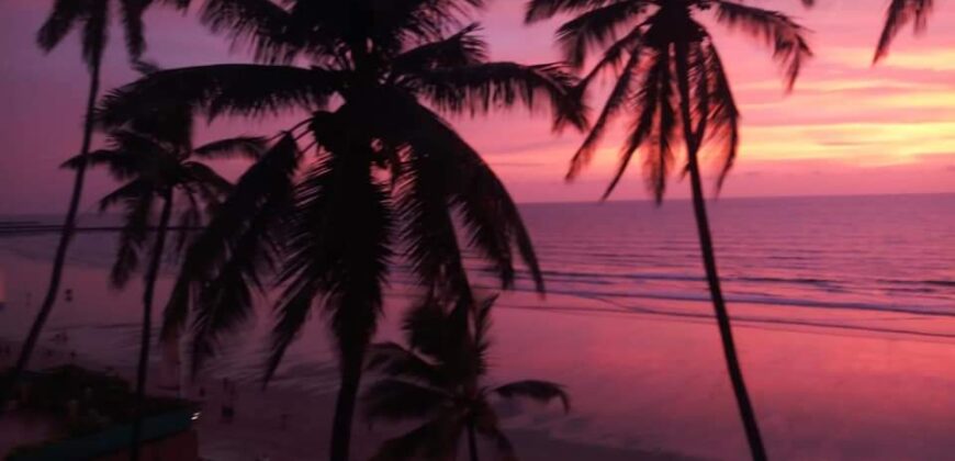Sea Breeze