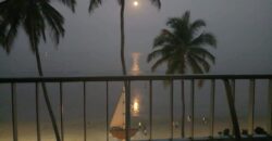 Sea Breeze